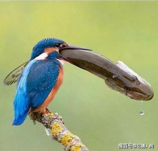 久久热精品：探索无限魅力与精彩瞬间