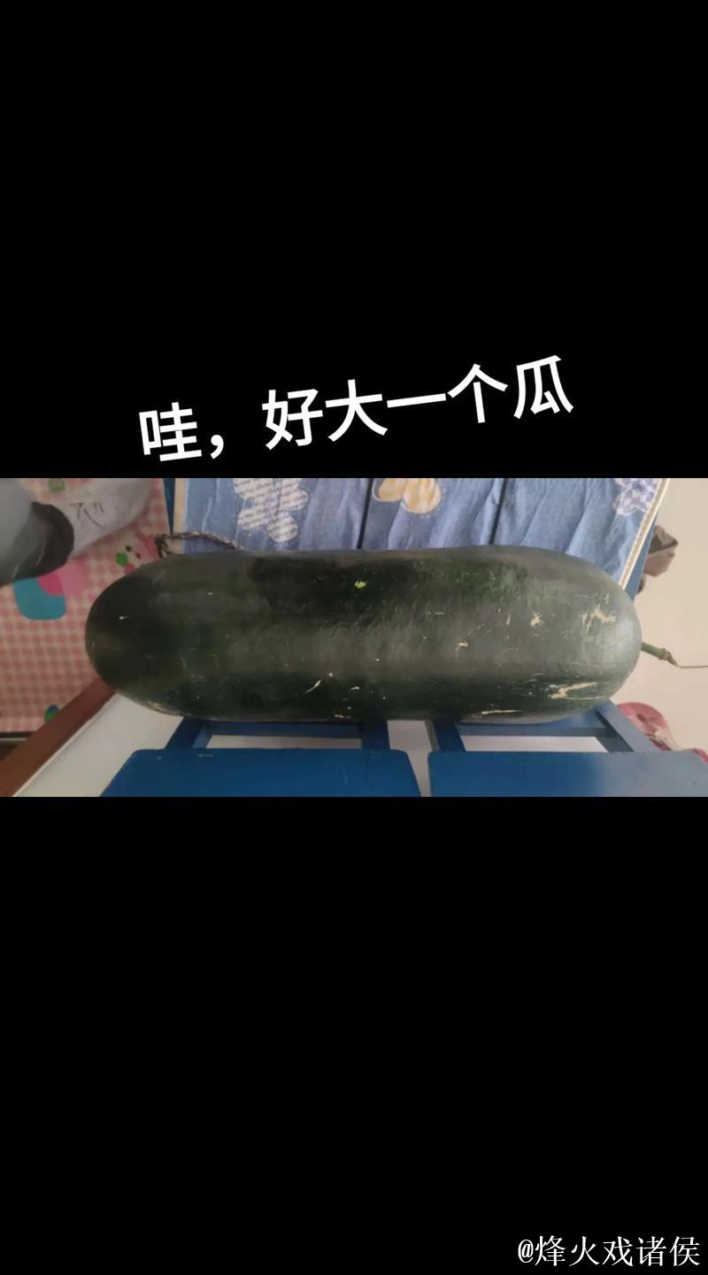 网曝大瓜！内幕引热议